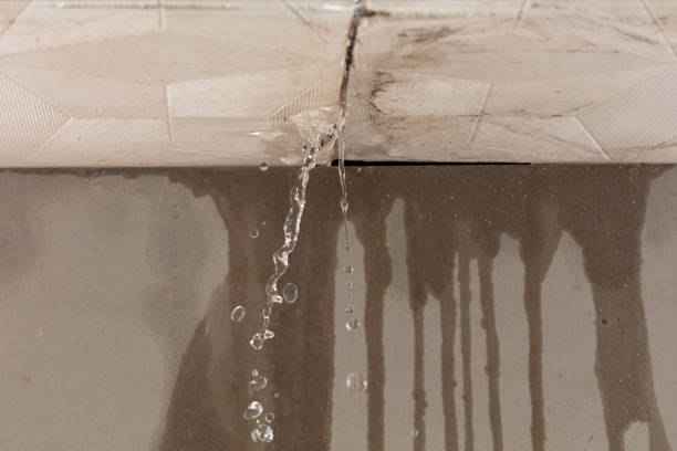 Professional Flood Damage Cleanup technician working in Eastlake, MI